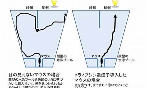 感受 6—10 加减法，领略数学魅力