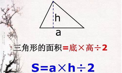 探索三角形面积：开启几何计算新高度