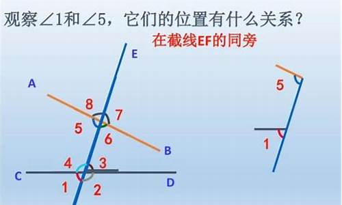 同位角等探秘：相交线的独特视角