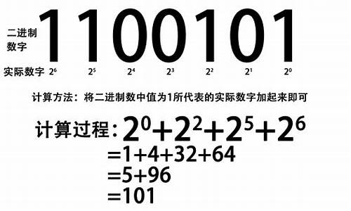 二进制指算法：深入探索计算机科学中的数据表示与处理技巧