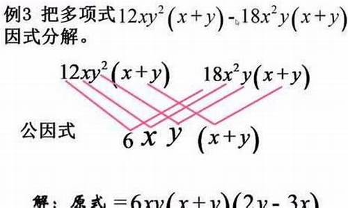 因式分解的奥秘：提公因式的技巧